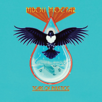 Виниловая пластинка Mdou Moctar / Tears Of Injustice (1LP)