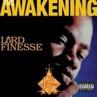 Виниловая пластинка Lord Finesse / Awakening - dark blue gray - maroon translucent - yellow opaque vinyl (3LP)