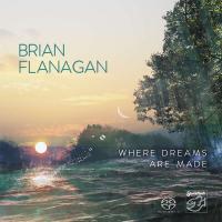 Виниловая пластинка BRIAN FLANAGAN / WHERE DREAMS ARE MADE (1LP)