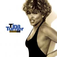 Виниловая пластинка Tina Turner / Simply The Best (2LP)