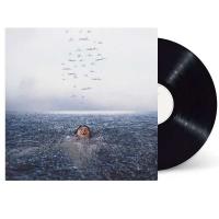 Виниловая пластинка Mendes Shawn / Wonder (1LP)