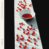 Виниловая пластинка Paul McCartney / McCartney (2LP)