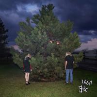 Виниловая пластинка 100 Gecs / 1000 Gecs (Limited Edition)(Coloured Vinyl)(LP)