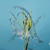 Виниловая пластинка Fergus McCreadie / Stream (Crystal Clear, Limited) (1LP)