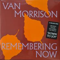 Виниловая пластинка Van Morrison / Remembering Now (2LP)