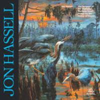 Виниловая пластинка Jon Hassell / The surgeon of the nightsky (vinyl) (1LP)