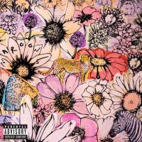 Виниловая пластинка Maroon 5 / JORDI (1LP) Виниловая пластинка Maroon 5 / JORDI (1LP)