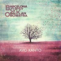 Виниловая пластинка BGKO / AVO KANTO (1LP)