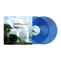 Виниловая пластинка Incubus / Morning View XXIII (coloured) (2LP)