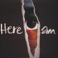 Виниловая пластинка Groundation / Here I Am (2LP)