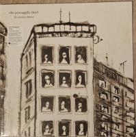 Виниловая пластинка The Pineapple Thief / 10 Stories Down (Marbled) (1LP)