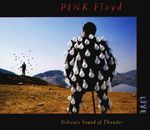 Компакт-диск Pink Floyd / Delicate Sound Of Thunder (CD2)