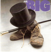 Виниловая пластинка Mr. Big / Mr. Big (Blue, Limited) (1LP)