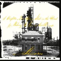 Виниловая пластинка Shivaree / I Oughtta Give You A S... (1LP)