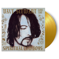 Виниловая пластинка Dave Stewart / Dave Stewart and the Spiritual Cowboys (Gold Lyrics) (1LP)