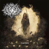 Виниловая пластинка Naglfar / Harvest - gold vinyl (1LP)