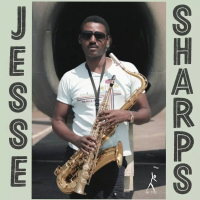 Виниловая пластинка Jesse Sharps / Sharps And Flats (1LP)