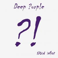 Виниловая пластинка Deep Purple / Now What?! (2LP)