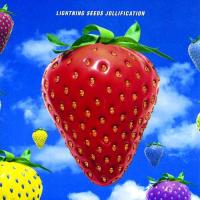 Виниловая пластинка Lightning Seeds / Jollification (LP+7" Vinyl Single)