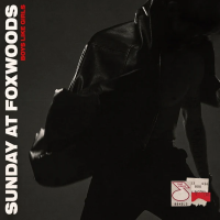 Виниловая пластинка Boys Like Girls / Sunday At Foxwoods (1LP)