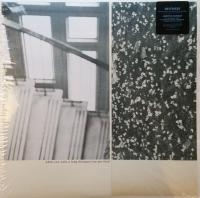 Виниловая пластинка Mothers / When You Walk A Long Distance You Are Tired (LP)
