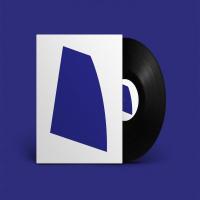 Виниловая пластинка Rival Consoles / Night Melody