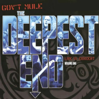 Виниловая пластинка GOV'T MULE / DEEPEST END - VOLUME ONE (2LP, BLUE VINYL)