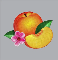 Виниловая пластинка Phoenix / Bankrupt! (1LP)