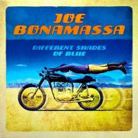Виниловая пластинка Joe Bonamassa / Different Shades Of Blue (LP)