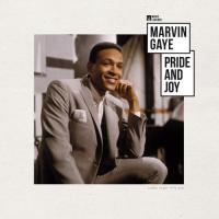 Виниловая пластинка Marvin Gaye / Music Legends (1LP)