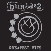 Виниловая пластинка blink-182 / Greatest Hits (2LP) Виниловая пластинка blink-182 / Greatest Hits (2LP)