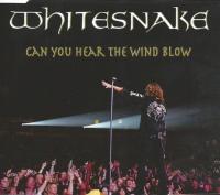 Компакт-диск Whitesnake / Can You Hear The Wind Blow (CD Single)