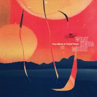 Виниловая пластинка Tom Misch, Yussef Dayes / What Kinda Music (2LP) Виниловая пластинка Tom Misch, Yussef Dayes / What Kinda Music (2LP)