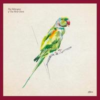 Виниловая пластинка Helicopter Of The Holy Ghost / Afters (Black) (1LP)