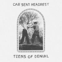 Виниловая пластинка Car Seat Headrest / Teens Of Denial (2LP)