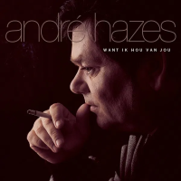 Виниловая пластинка Andre Hazes / Want Ik Hou Van Jou (Ltd Edition Gold Vinyl) (1LP)