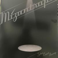 Виниловая пластинка She Past Away / Mizantrop (Transparent White w/ Black) (1LP)
