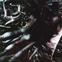 Виниловая пластинка Scott Walker / Tilt (2xLP)