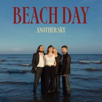 Виниловая пластинка Another Sky / Beach Day (1LP)