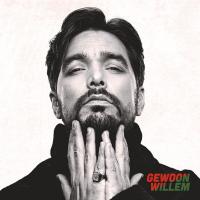 Виниловая пластинка Waylon / Gewoon Willem (1LP)