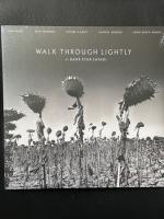 Виниловая пластинка Dark Star Safari / Walk Through Lightly (1LP)