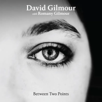 Виниловая пластинка David Gilmour / Between Two Points (coloured) (1LP 12")