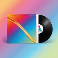 Виниловая пластинка Hayden Thorpe / Moondust For My Diamond (1LP)