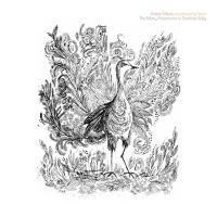 Виниловая пластинка ANTERO MENTU LANDSCAPING TEAM / THE MANY ADVENTURES OF SUNSHINE SALLY (1LP)