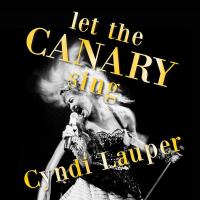 Виниловая пластинка Cyndi Lauper / Let The Canary Sing (1LP)