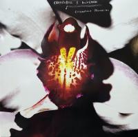 Виниловая пластинка Chrystabell & David Lynch / Cellophane Memories (Clear) (1LP)