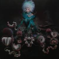 Виниловая пластинка Bjork / Fossora (2LP) Виниловая пластинка Bjork / Fossora (2LP)