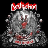 Виниловая пластинка Destruction / Born To Perish (2xLP)