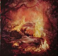 Виниловая пластинка WEEZER / SZNZ - SUMMER (1LP)