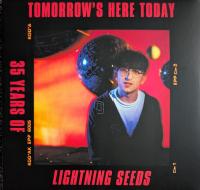 Виниловая пластинка Lightning Seeds / Tomorrow's Here Today: 35 Years Of Lighting Seeds (2LP)